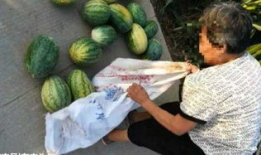 青县吃瓜最新事件爆料,揭秘背后惊人真相